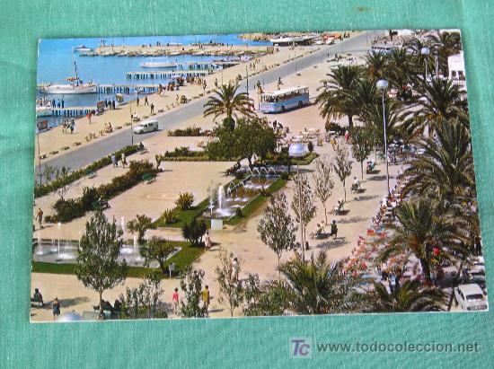 Postales: **POSTAL DE,---IBIZA--- (PASEO DE LAS PALMERAS)**