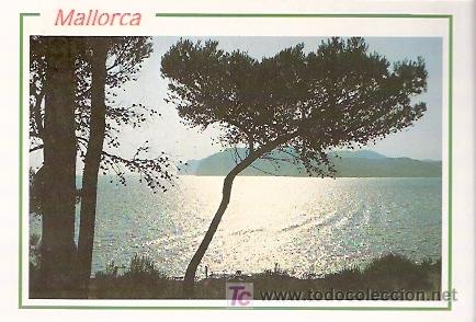 Postales: POSTAL MALLORCA - BALEARES - Foto 1