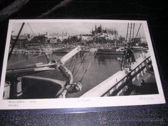 Postales: MALLORCA 7644 , EL PUERTO - Foto 1