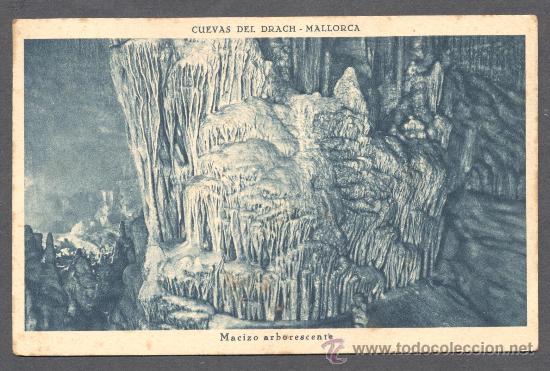 Postales: MALLORCA CUEVAS DEL DRACH MACIZO ARBORESCENTE - Foto 1