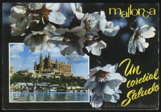 Postales: B-0635- MALLORCA. LA CATEDRAL - Foto 1