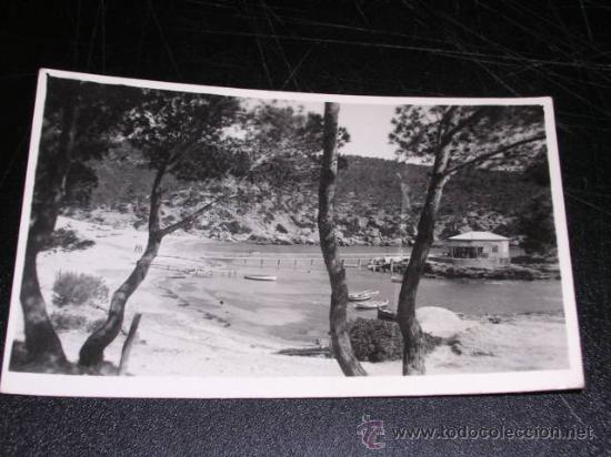 Postales: POLLENSA ( MALLORCA ) - Foto 1