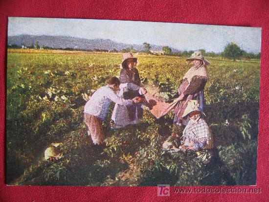 Postales: MALLORCA - COSTUMBRES - Foto 1