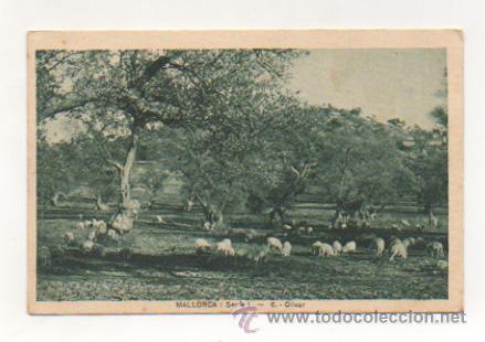 Postales: MALLORCA. SERIE I - 6. OLIVAR. - Foto 1