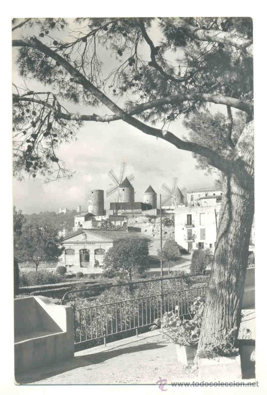 Postales: Palma de Mallorca .. Molinos del Jonquer - Foto 1