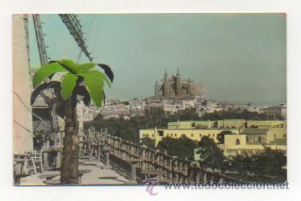 Postales: PALMA. CATEDRAL MOLINOS. - Foto 1