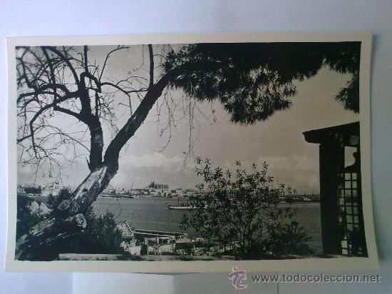 Postales: PALMA DE MALLORCA - Foto 1