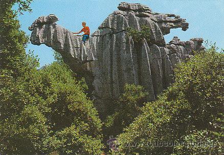 Postales: monasterio de Lluch (Mallorca), el camello - Foto 1