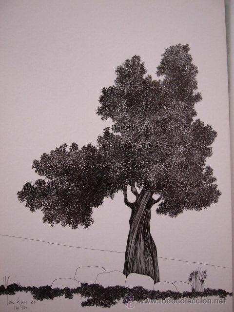 Postales: IBIZA.  BALEARES.  DIANA. - Foto 1