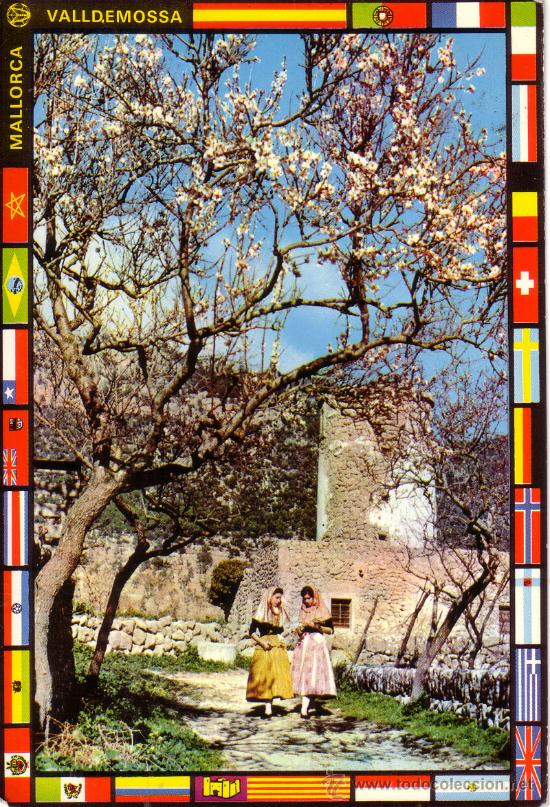 Postales: N&ordm; 8156 MALLORCA VALLDEMOSA - Foto 1