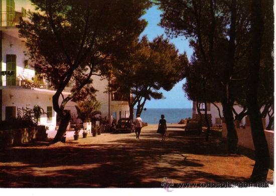 Postales: N&ordm; 8454 MALLORCA CALA MILLOR - Foto 1