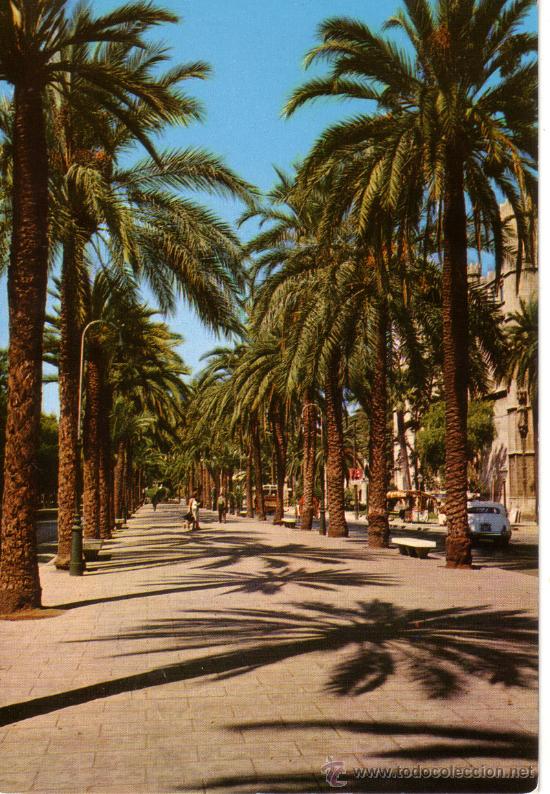 Postales: N&ordm; 8457 PALMA DE MALLORCA - Foto 1