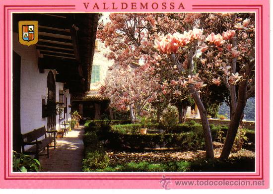 Postales: N&ordm; 8957 MALLORCA VALLDEMOSSA - Foto 1