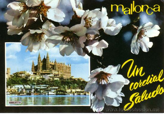 Postales: N&ordm; 8945 MALLORCA - Foto 1