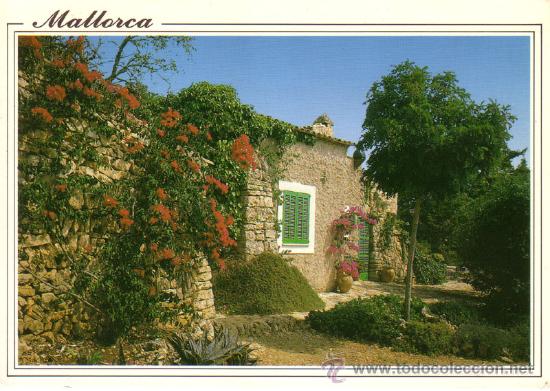 Postales: N&ordm; 8904 MALLORCA - Foto 1