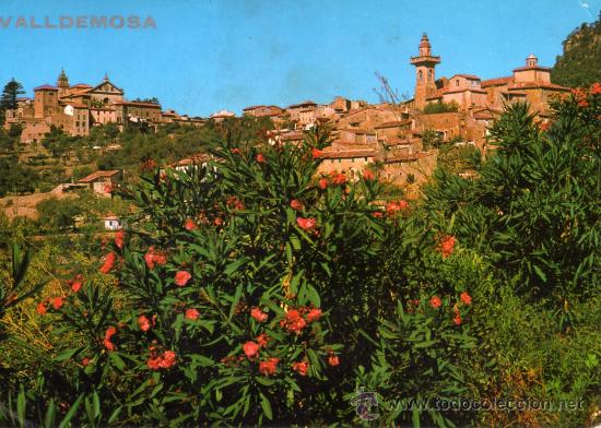 Postales: MALLORCA VALLDEMOSA 6059 ESCRITA CIRCULADA SIN SELLO - Foto 1