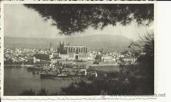 Postales: PALMA MALLORCA CATEDRAL ESCRITA - Foto 1