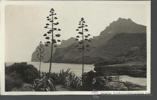 Postales: BALEARES CALA DE SAN VICENTE POLLENSA MAT POLLENSA 1955