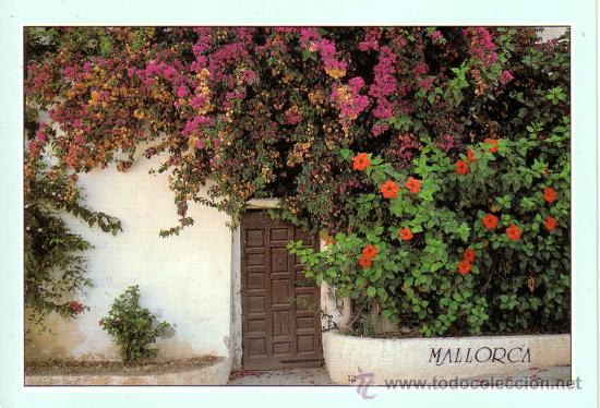 Postales: N&ordm; 9421 MALLORCA - Foto 1