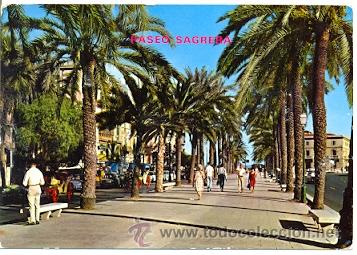 Postales: 7-esp1214. Postal Mallorca. Paseo Sagrera - Foto 1