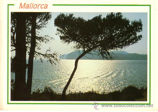 Postales: N&ordm; 10982 MALLORCA - Foto 1