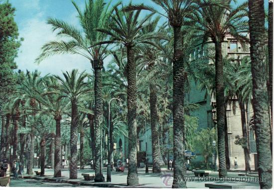 Postales: PASEO SAGRERA. MALLORCA. - Foto 1