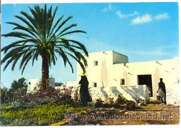 Postales: 7-esp1275. Postal Ibiza. Casa de Campo - Foto 1