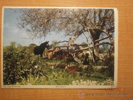 Postales: POSTAL  MALLORCA SIN CIRCULAR - Foto 1