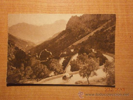 Cartoline: POSTAL CARRETERA DE SOLLER SERIE TRUYOL . SIN CIRCULAR