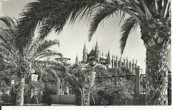 Postales: MALLORCA BALEARES  CATEDRAL SIN ESCRIBIR - Foto 1