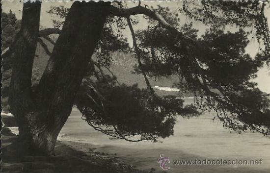 Postales: BALEARES MALLORCA FORMENTOR ESCRITA - Foto 1