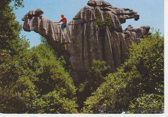 Postales: (806) MALLORCA. LLUCH. EL CAMELLO - Foto 1