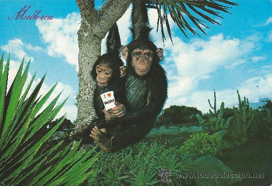Postales: mallorca 182 -bohigas-1985 - Foto 1