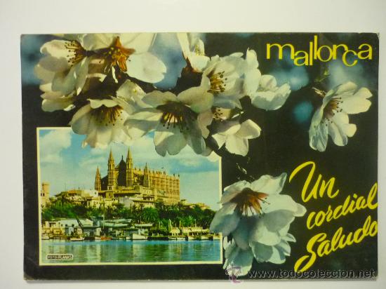 Postales: POSTAL DE PALMA DE MALLORCA - Foto 1