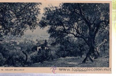 Postcards: TARJETA POSTAL, 14 SOLLER, MALLORCA, VISTA GENERAL, MARQU&Eacute;S