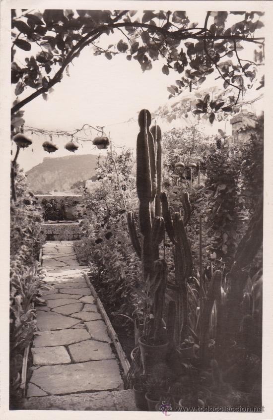 Postales: Mallorca Valldemosa (escrita) - Foto 1
