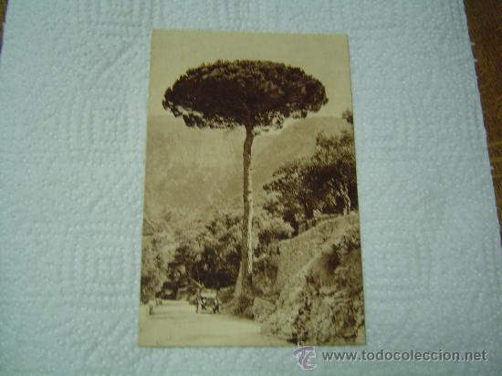 Postales: Postal de Mallorca. - Foto 1