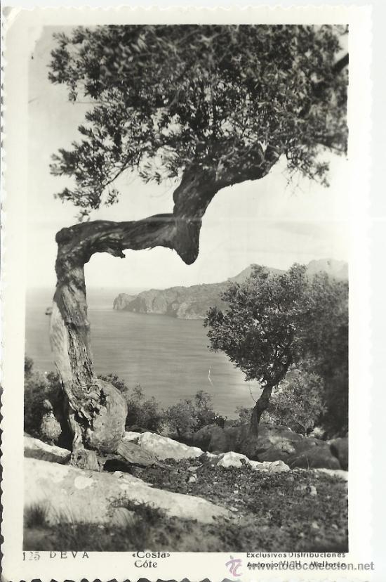 Postales: MALLORCA DEVA ESCRITA - Foto 1