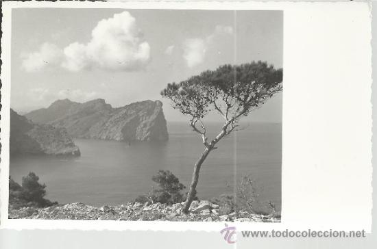 Postales: MALLORCA FORMENTOR  SIN ESCRIBIR - Foto 1