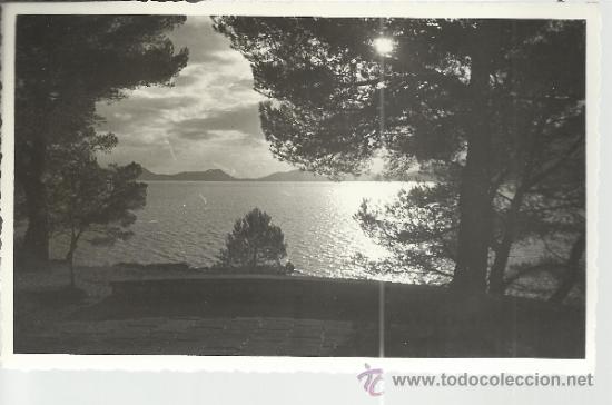 Postales: MALLORCA FORMENTOR SIN ESCRIBIR - Foto 1