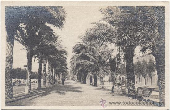 Postales: PALMA DE MALLORCA.- PASEO DE SAGRERA. - Foto 1