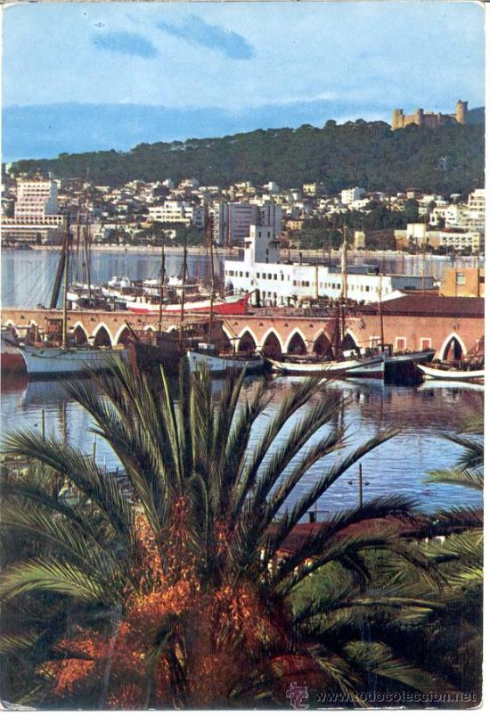 Postales: PALMA - Foto 1