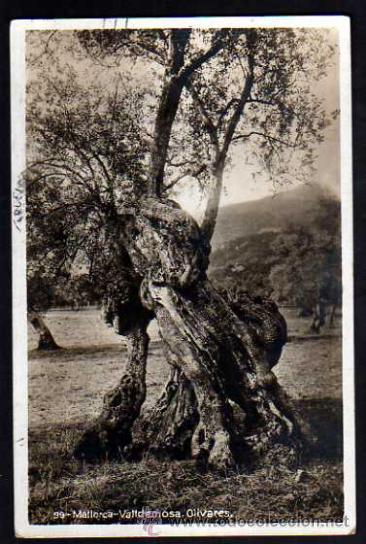 Postales: Mallorca.. Circulada - Foto 1