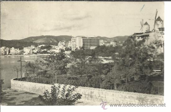 Postales: PALMA MALLORCA MOLINO ESCRITA - Foto 1
