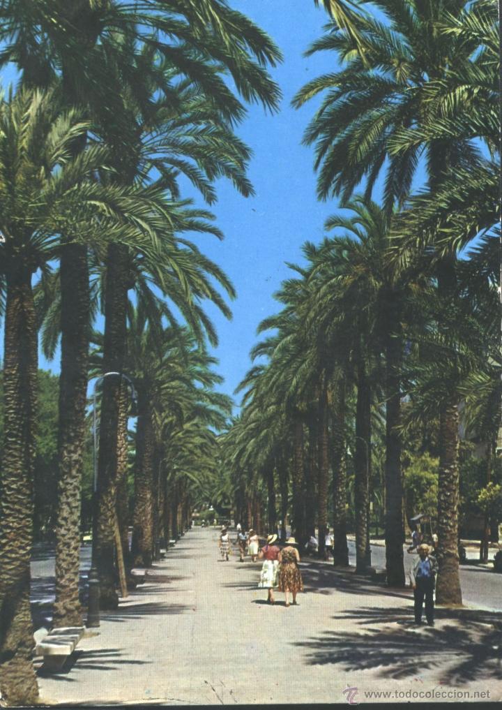 Postales: MALLORCA - PASEO DE SAGRERA - Foto 1