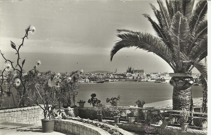 Postales: BALEARES PALMA  ESCRITA - Foto 1