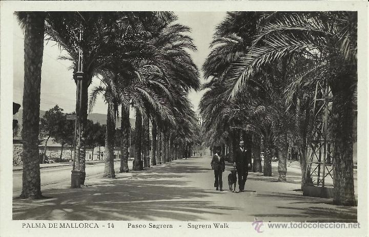 Postales: BALEARES PALMA SIN ESCRIBIR - Foto 1