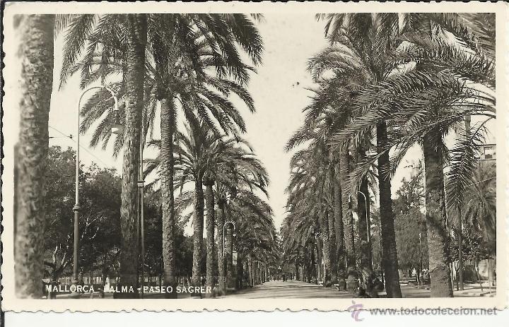 Postales: MALLORCA PASEO SAGRERA ESCRITA - Foto 1
