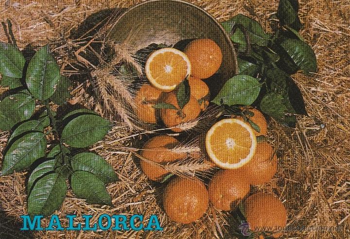 Postales: N&ordm; 12439 MALLORCA - Foto 1