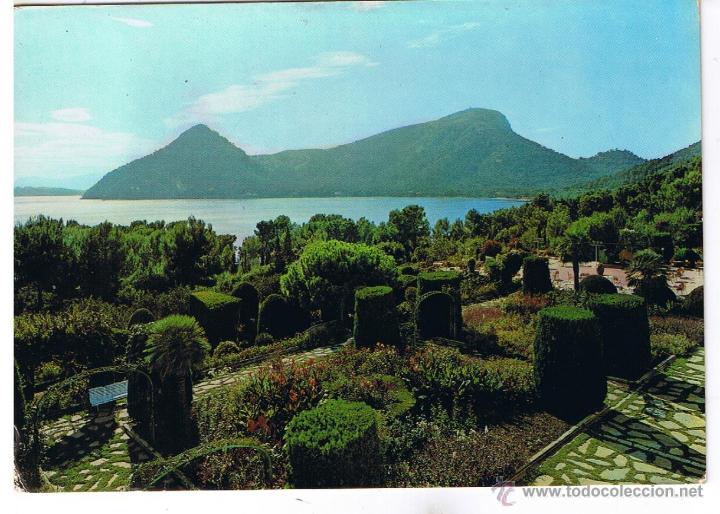 Postales: POSTAL: MALLORCA . POLLENSA JARDINES - Foto 1